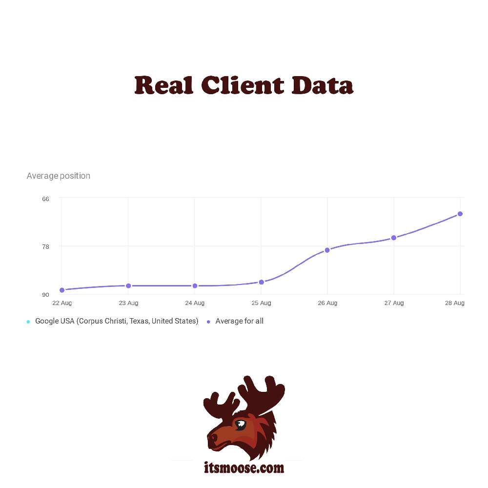 real client SEO data